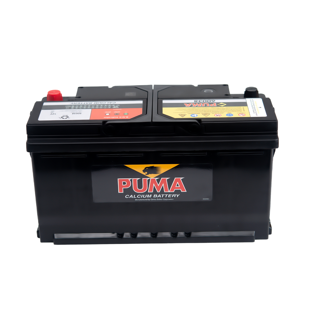 binh ac quy puma 12v 100ah din100 60038png