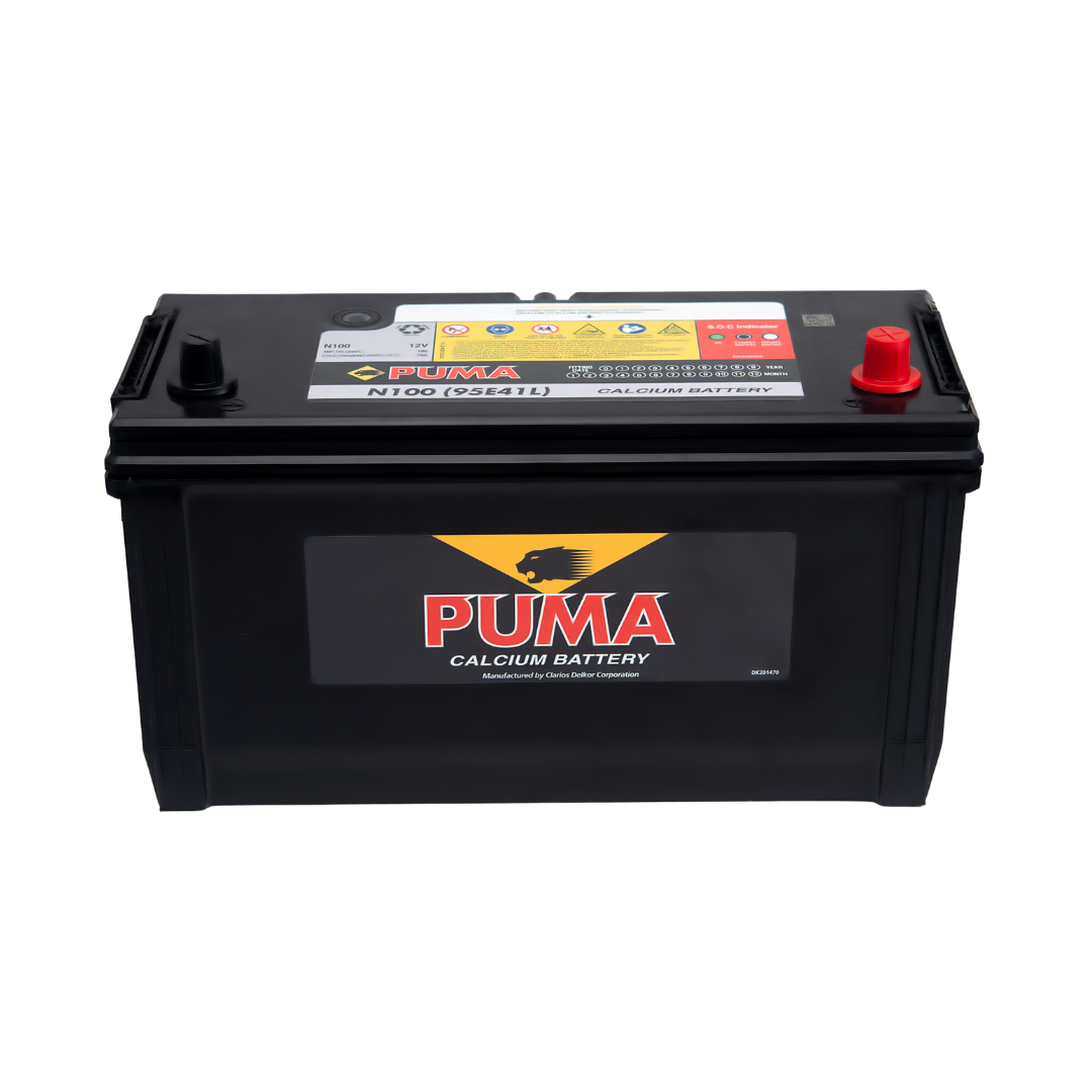 binh ac quy puma 12v 100ah n100 95e41lpng