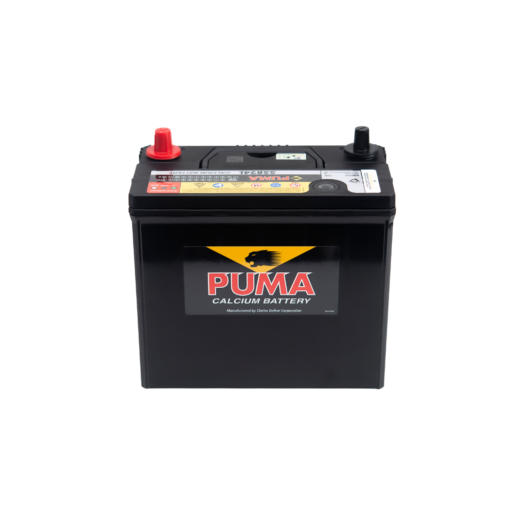 binh ac quy puma 12v 46ah 55b24lpng