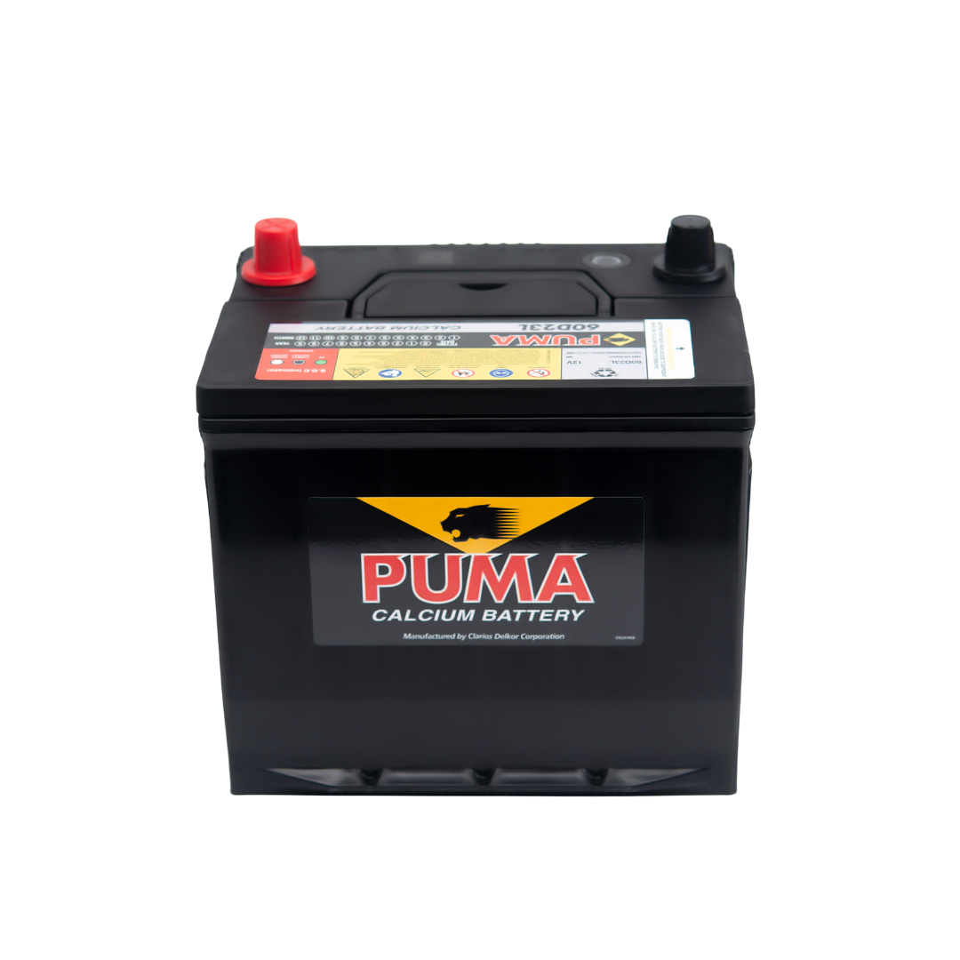binh ac quy puma 12v 60ah 60d23lpng