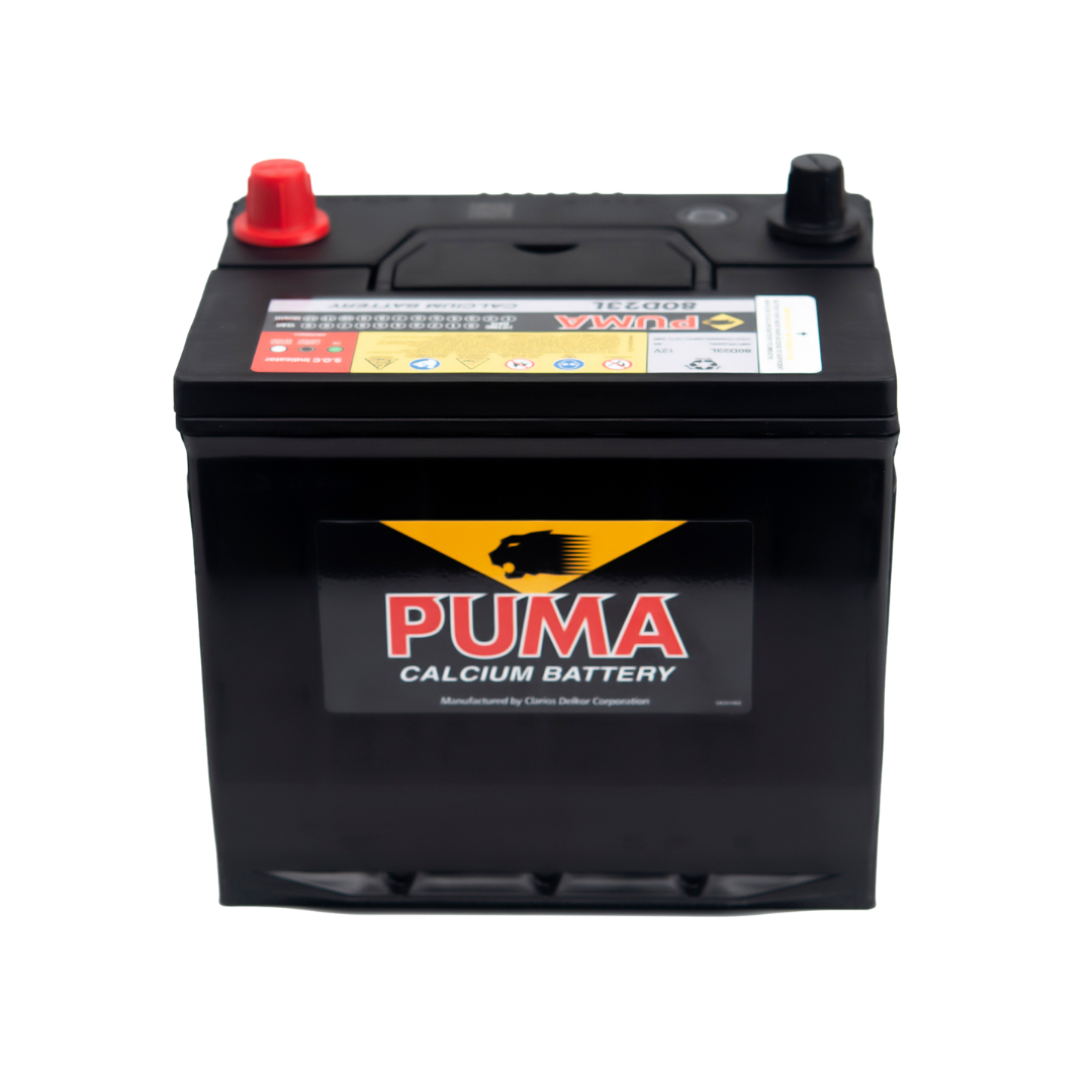binh ac quy puma 12v 65ah 80d23lpng