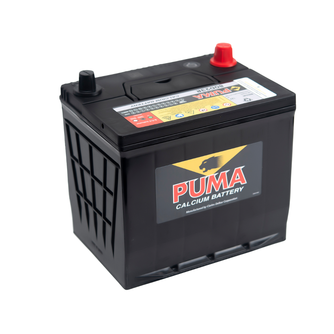 binh ac quy puma 12v 65ah 80d23rpng