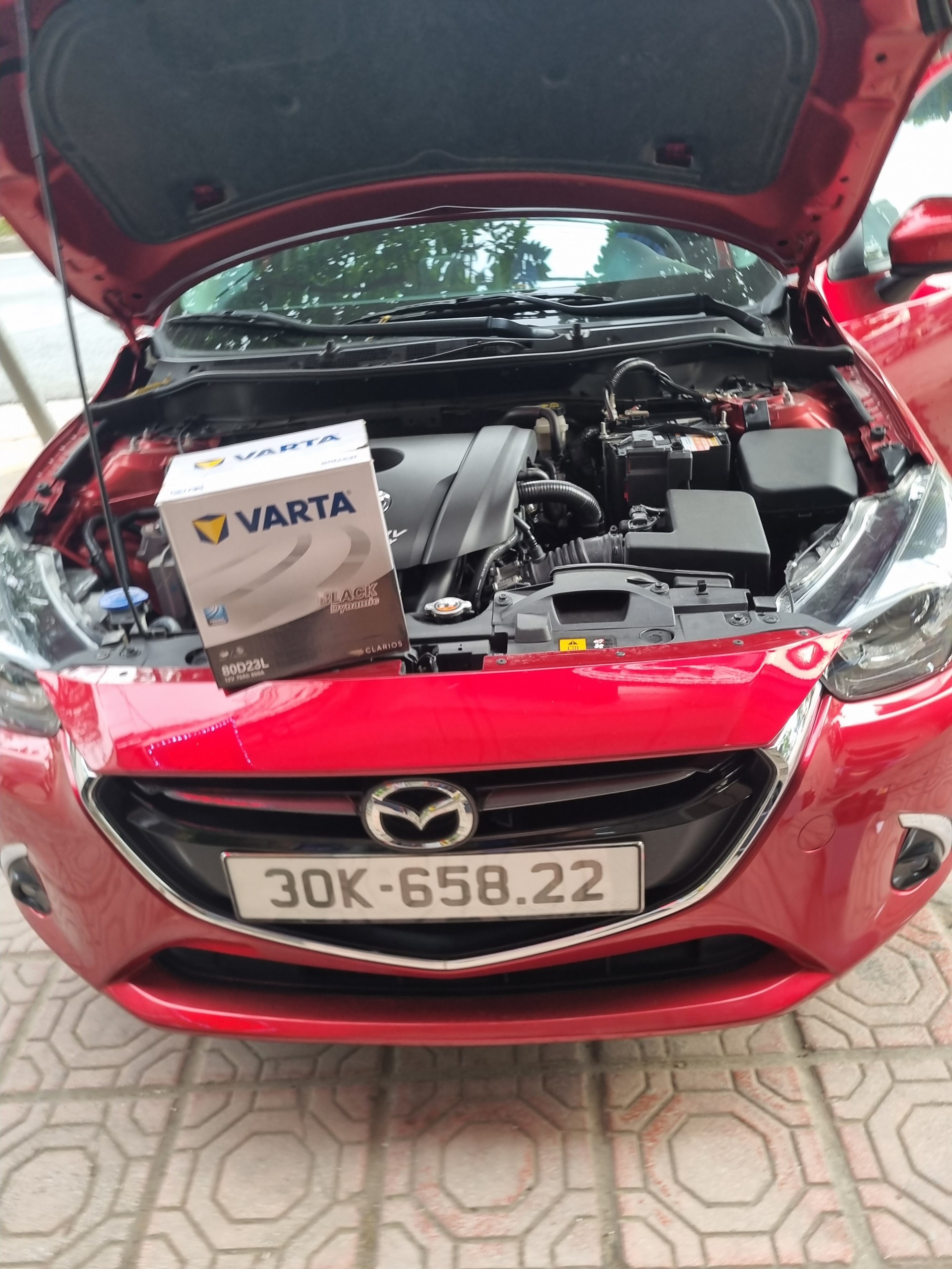 z4799960077378 c76ed21b55f1ae2d8316bbdd50461dbfjpg