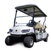 Ắc quy xe golf điện